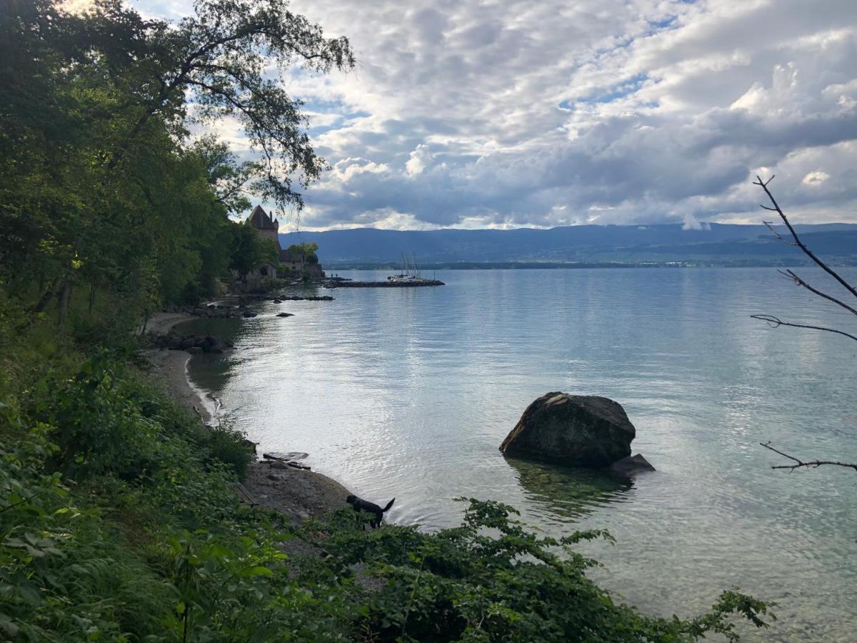 A Room With A View - Maisonnette Dans Bourg Medieval Au Bord Du Lac Leman إيفوار المظهر الخارجي الصورة