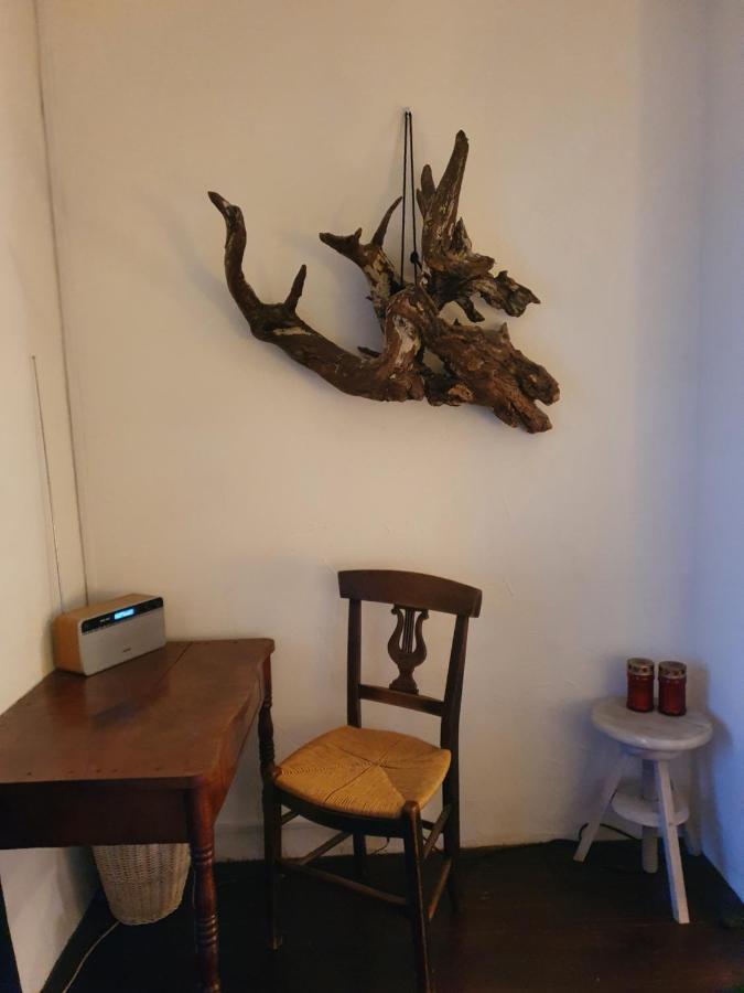 A Room With A View - Maisonnette Dans Bourg Medieval Au Bord Du Lac Leman إيفوار المظهر الخارجي الصورة